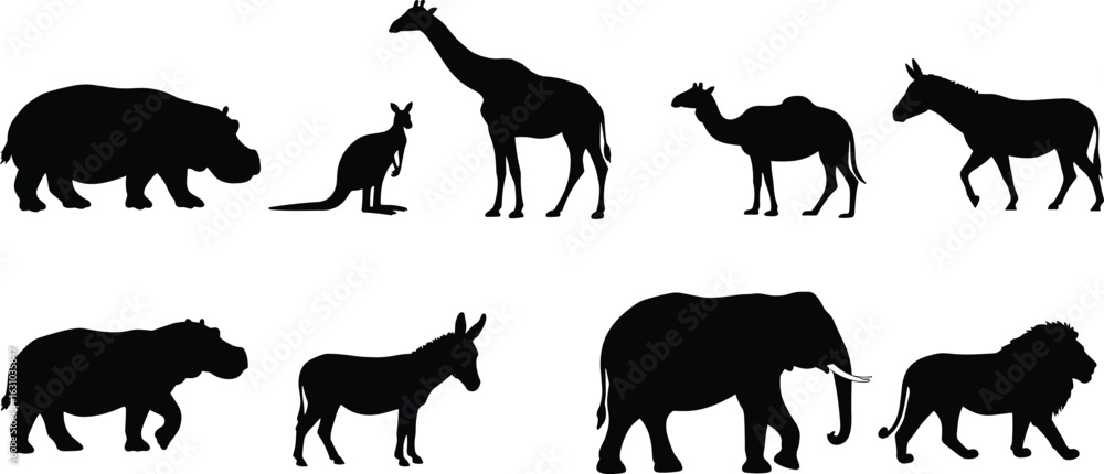 Naklejka premium Wild animal silhouettes, giraffe, hippo, lion, donkey, kangaroo, camel, elephant, safari creatures, jungle wildlife, black animal shapes
