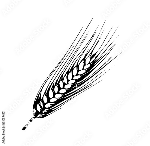 Vector Detailed of a wheat stalk with flowing kernels.