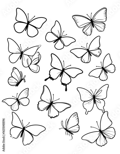Black and white butterfly drawing