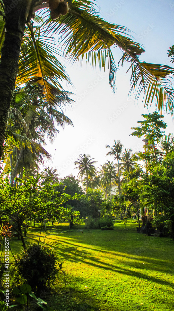 Obraz premium Vibrant tropical garden with a variety of trees, plants, and green grass under bright sunlight. Peaceful and natural outdoor setting, perfect for relaxation.
