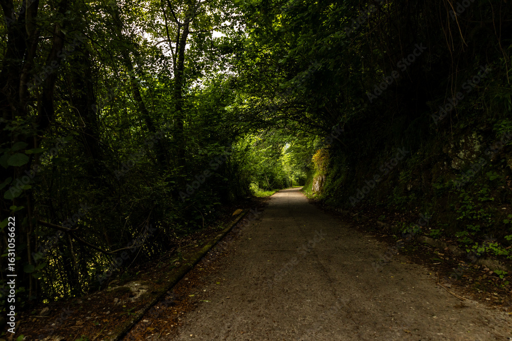 Obraz premium Pedestrian and bicycle path in the middle of a mountain forest.
