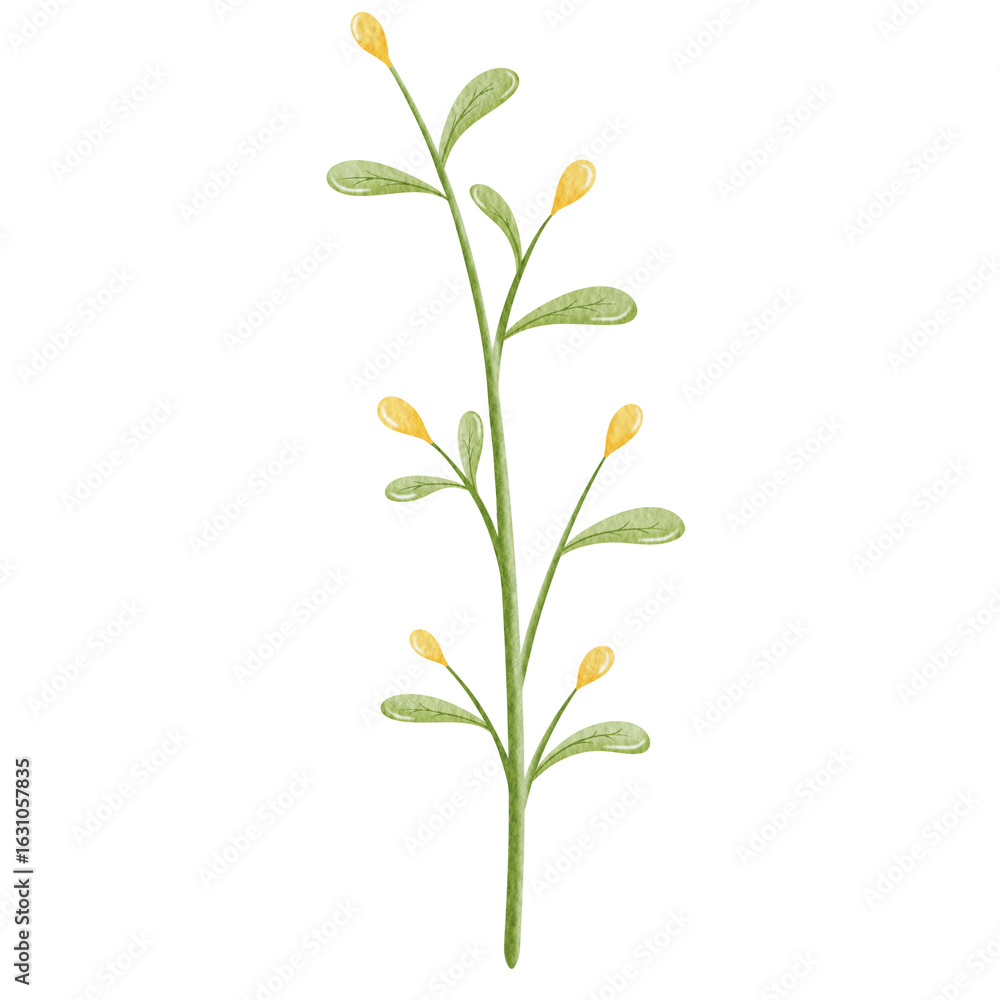 Fototapeta premium Watercolor cute yellow flower illustration.