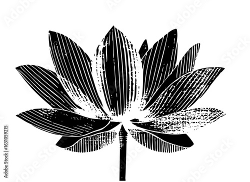 Vector Elegant lotus flower with textured petals.