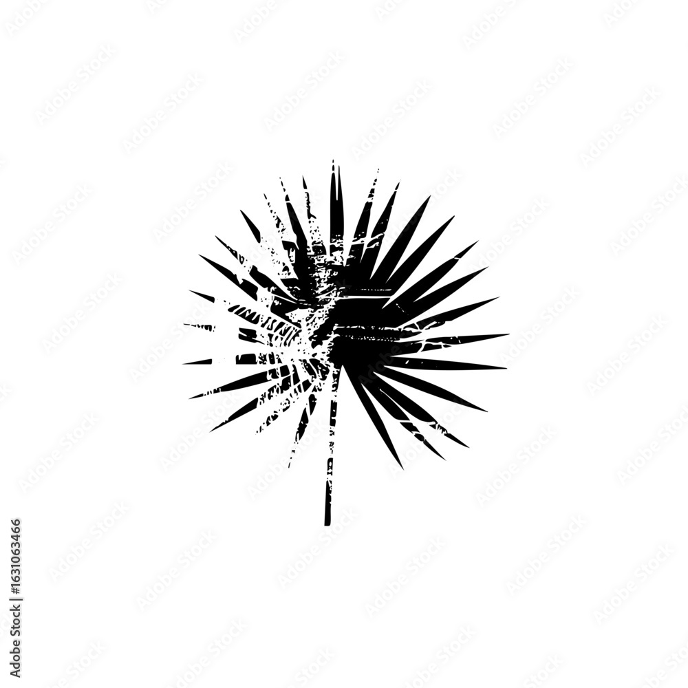 Obraz premium Vector Abstract palm leaf with radiating lines.
