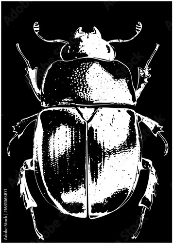 Vector Detailed of a rhinoceros beetle with prominent horns.