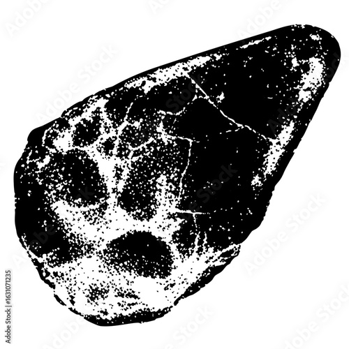 Vector Detailed stone texture with speckled .