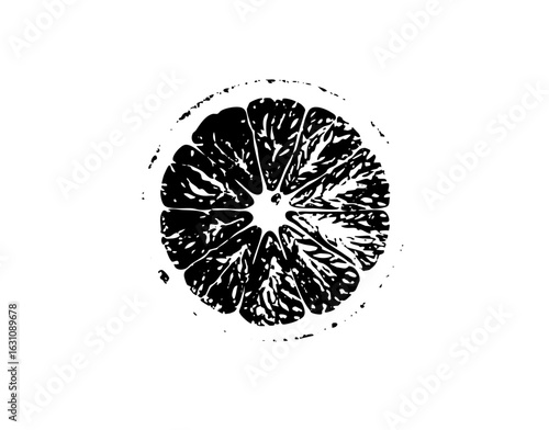 Vector Detailed citrus slice with radial segments.