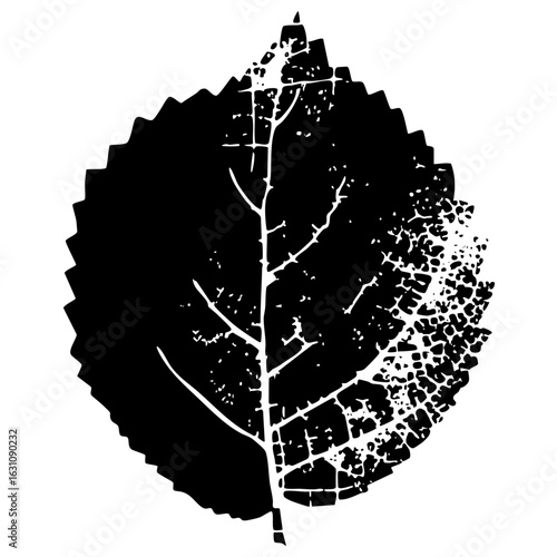 Vector Detailed black leaf with decaying edge.