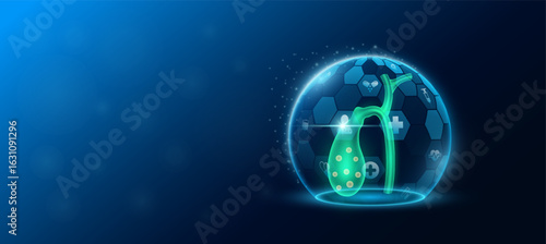 Gallbladder human organ inside dome shield protection futuristic and medical icon transparent. Technology innovation health care. Medical science ads website banner with empty space for text. Vector.
