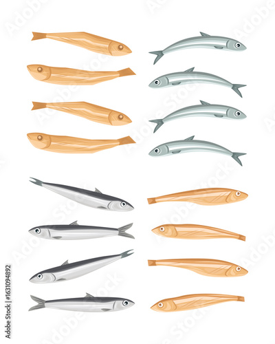 Fresh anchovies and dried anchovies vector