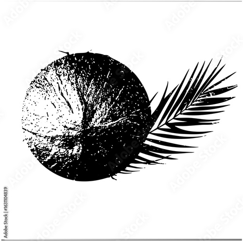 Vector Stylized coconut and palm frond .