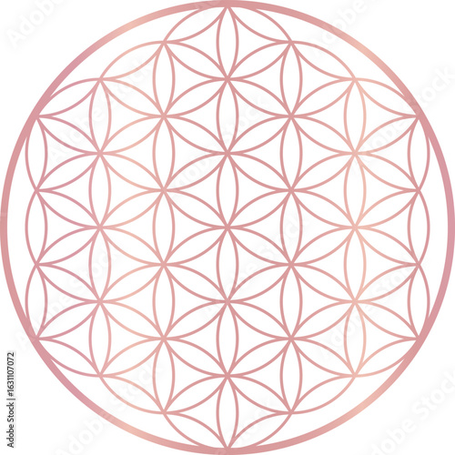 Abstract sphere, Flower of Life sacred geometry symbol.