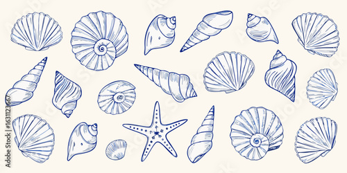 Collection of hand drawn blue line art seashells and starfish on a light background