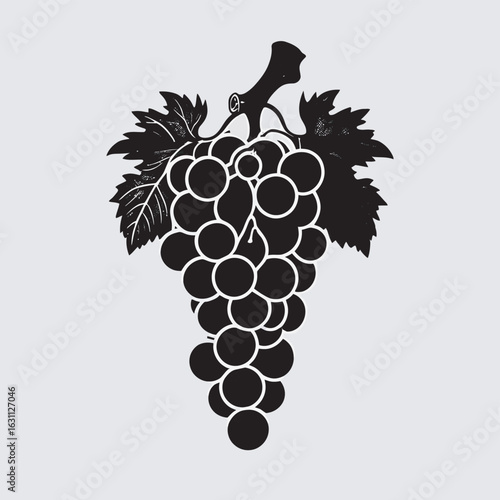 grapes vector illustration
