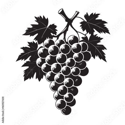 bunch of grapes vector illustration