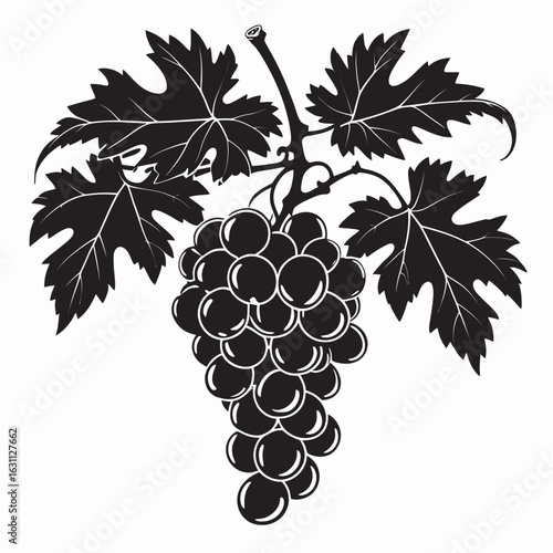 grapes vector illustration