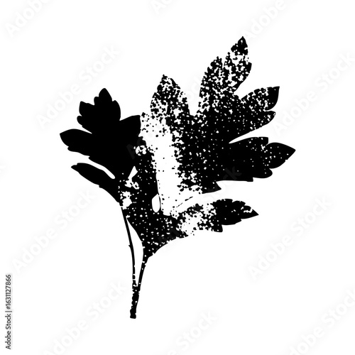 Vector Detailed botanical of leafy plant sprigs.