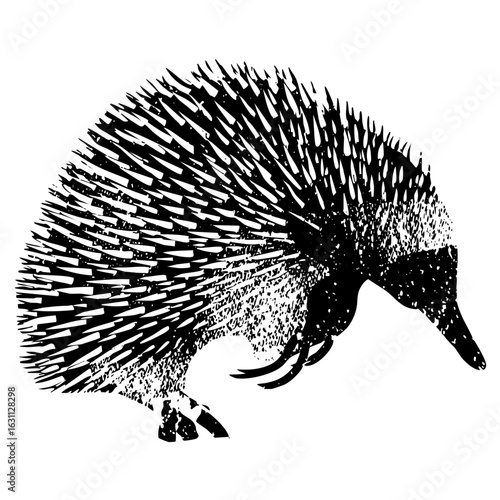 Vector Detailed of an echidna with prominent spines.