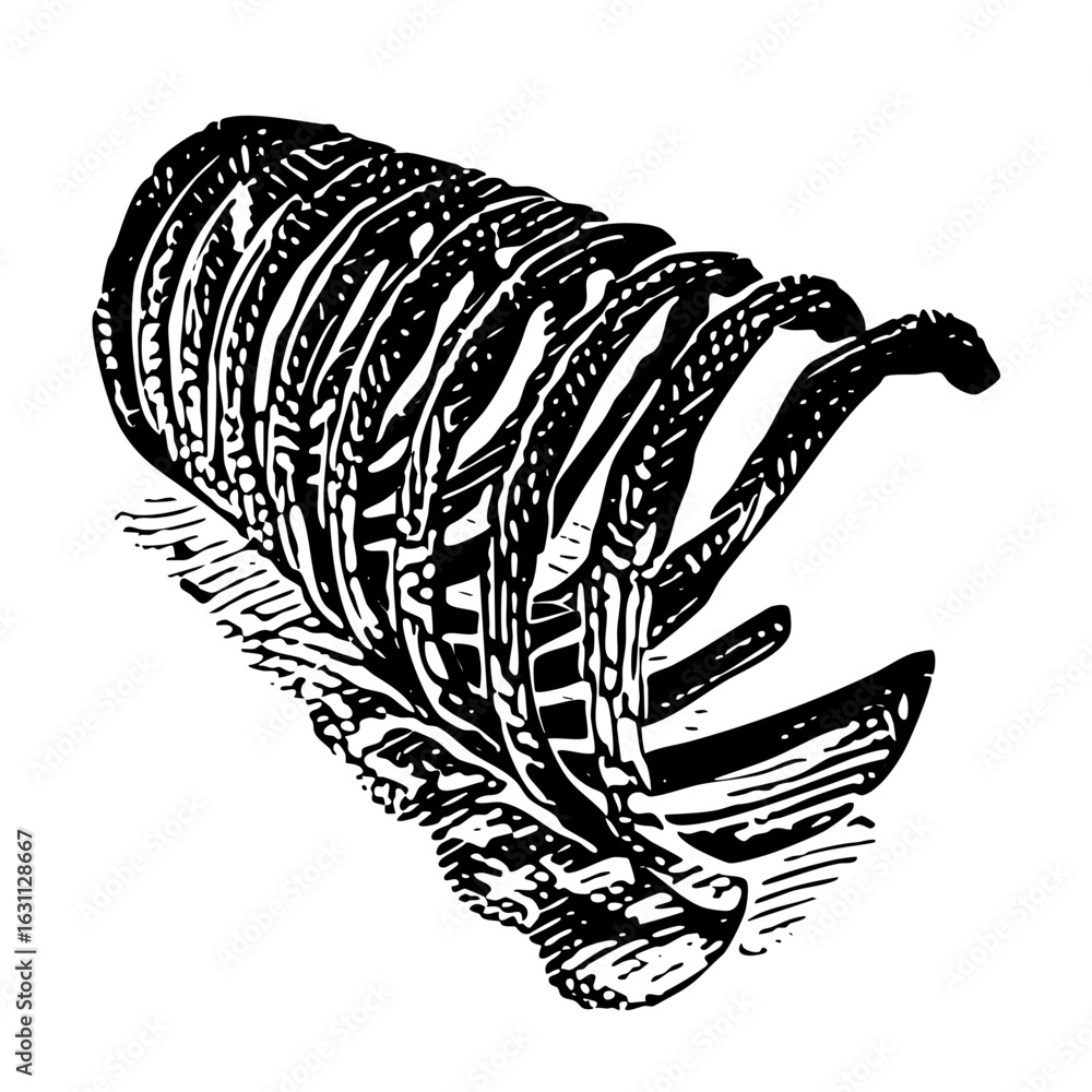 Fototapeta premium Vector Intricate ammonite showcases detailed spiral .
