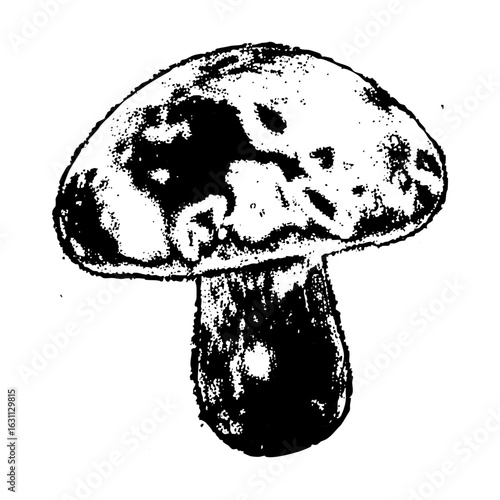 Vector Detailed of a mushroom with textured cap and stem.