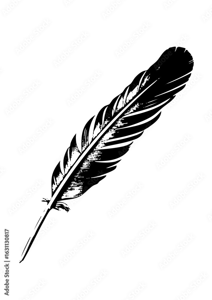 Fototapeta premium Vector Elegant black feather with detailed barbs.