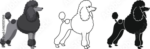 Poodle dog breeds vector illustration set cute dog illustration