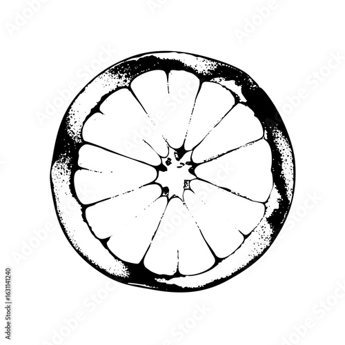 Vector Detailed citrus slice with segmented pulp.