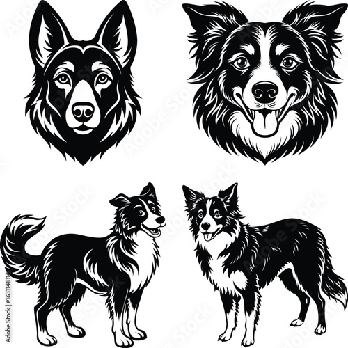 Dog Face ,Terrier, sheepdog and Husky dogs all well behaved sitting and facing front

