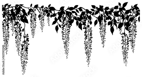 Silhouette of wisteria vine border decoration