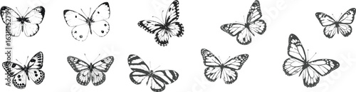 butterfly tattoo, kanji, symbol, calligraphy,