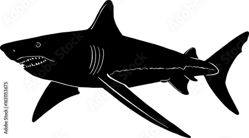 Black shark image with white lines. Sharks are predators of the sea because sharks are depicted as powerful and scary but mysterious. Use them in your design
