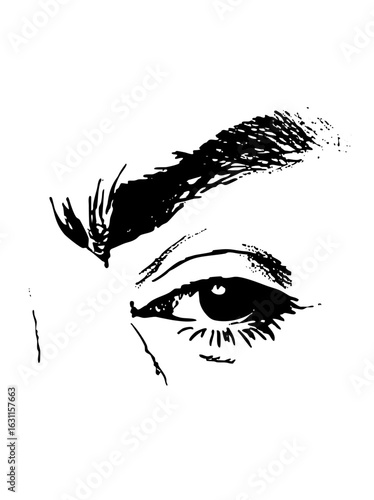 Vector Dramatic eye with bold brows and lashes.