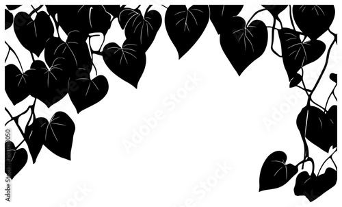 philodendron heartleaf vine decoration border silhouette