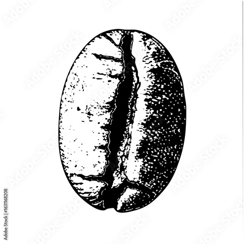 Vector Detailed of a roasted coffee bean with a central fissure.