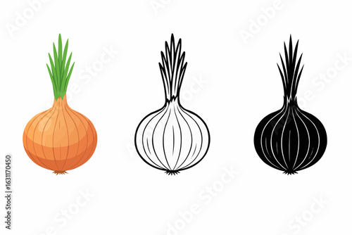 onion and garlic