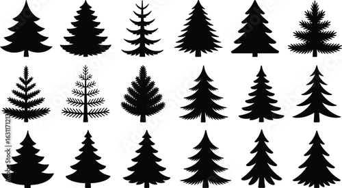 Set of pine tree silhouettes, conifer evergreen vector icons, winter forest fir shapes, black flat vector illustration collection for design