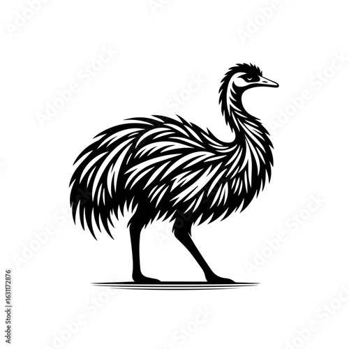 Emu bird standing isolated on white background in a black and white drawing