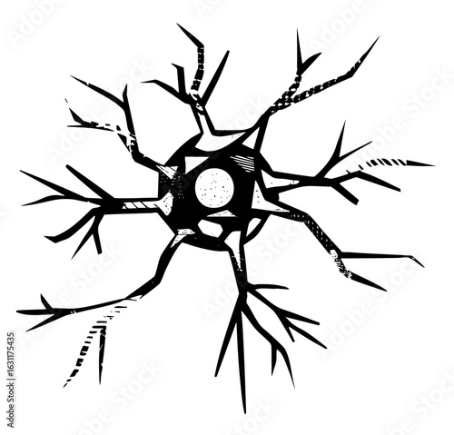 Vector Detailed black neuron depicts brain cell structure.