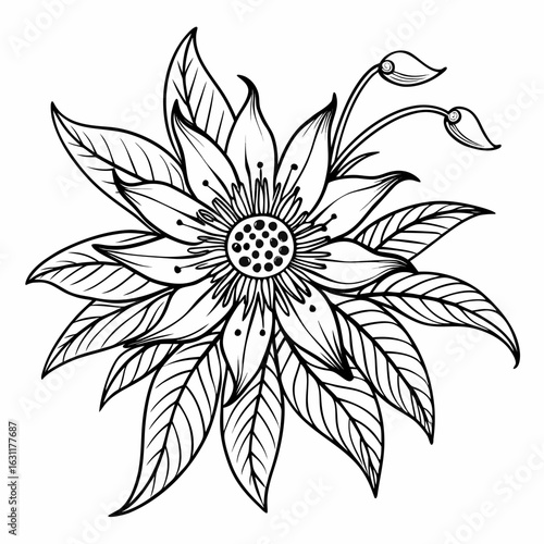 black and white flower vector