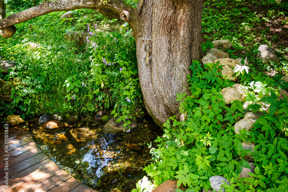Φωτογραφία A consecrated spring gushing from under a tree to which an Orthodox cross is nailed, an example of pagan beliefs in Russian Orthodoxy