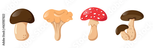 Vector Set Mushrooms In Cartoon Style Isolated On White Background. Champignon, Chanterelle, Fly Agaric, Birch Boletus. Forest Elements Harvesting Icons Stickers Food. Different Mushrooms.