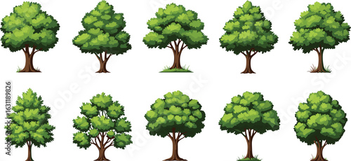 Collection of Lush Green Trees with White Background