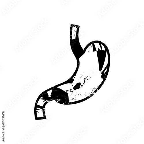 Vector Detailed black of a human stomach organ.