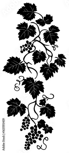 Grape vine illustration silhouette border