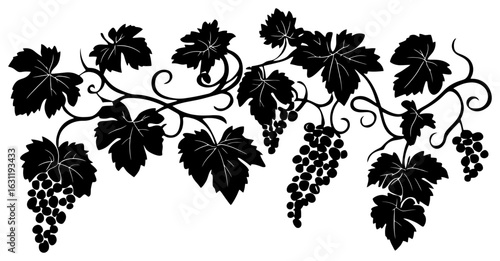 Grape vine illustration silhouette border