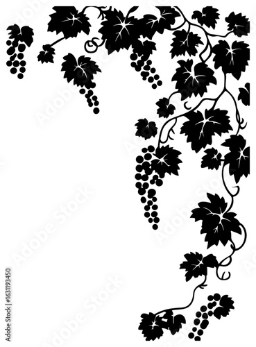 Grape vine decoration border silhouette