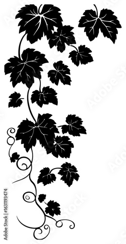 Grape vine decoration border silhouette