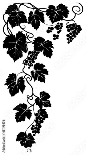 Grape vine decoration border silhouette