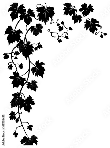 Grape vine decoration border silhouette