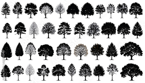 Tree Silhouettes Collection.